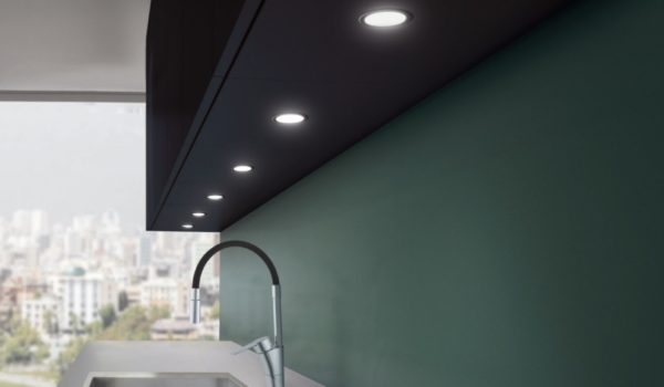 Beslag Design LED-paneelvalgusti Stella Flat Palmett Lukud