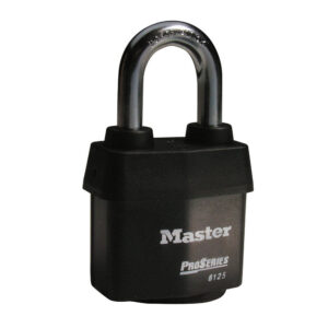 Master Lock ilmastikukindel tabalukk 6125