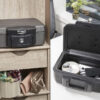 Master Lock tule- ja veekindel turvakast H0100 Palmett Lukud