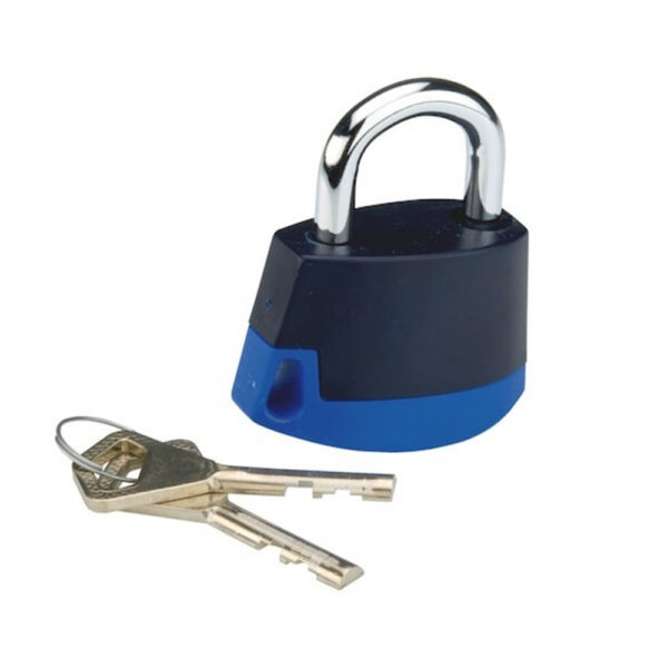 RIPPLUKK ABLOY 318C-20 CLASSIC SININE/SININE KEY ALIKE Palmett Lukud